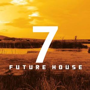S7VEN FUTURE HOUSE (Continuous Dj Mix)