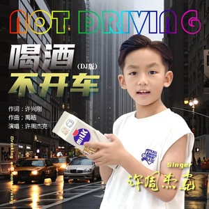 喝酒不开车 (DJ版伴奏)