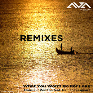 What You Won't for Love (Pat the Cat Chillin' in Ibiza Mix)