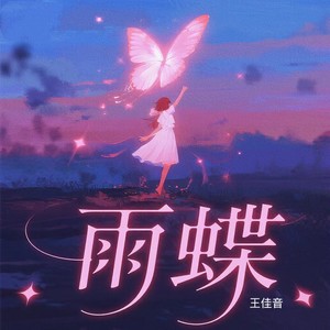 雨蝶 (爱到心破碎DJ版)封面