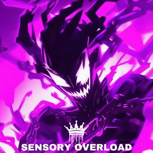 SENSORY OVERLOAD (feat. PANDEMXNIUM) [Prod.PANDEMXNIUM]