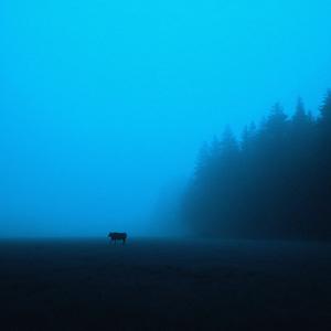 alone (slowed + reverb)