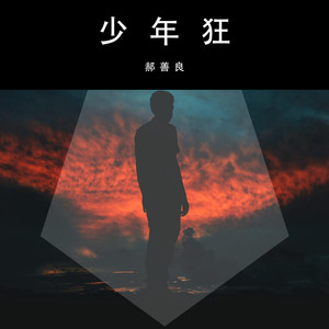 少年狂封面