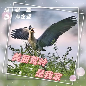 美丽鹭岭是我家