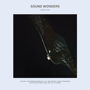 Touchtheplants Presents Sound Wonders: A Series of Epics