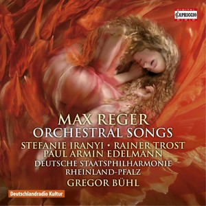 6 Lieder, Op. 85 - No. 6. In Waldeseinsamkeit (arr. M. Reger for voice and orchestra) (6首艺术歌曲，Op. 85)
