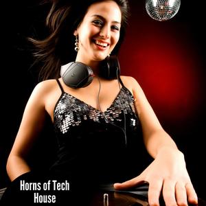 Horns Of Tech House