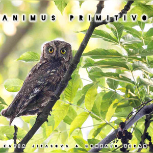 Animus Primitivo