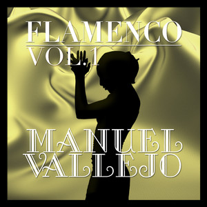 Flamenco: Manuel Vallejo Vol.1