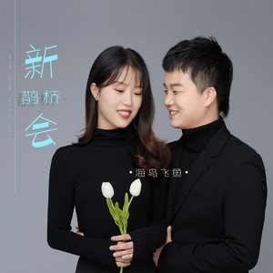 新鹊桥会 (伴奏) - 海鸟飞鱼封面