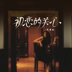 初恋的关心 (车载版)