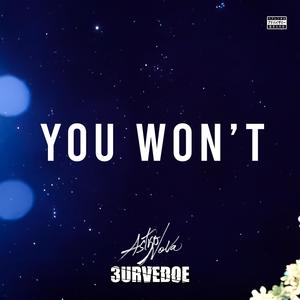 You Won't (feat. 3URVEDOE) [Explicit]