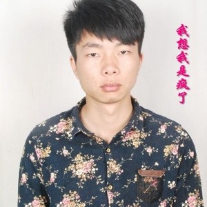 我想我是疯了