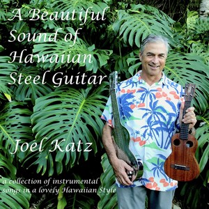 A Beautiful Sound of Hawaiian Steel Guitar