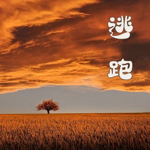 逃跑：让你感到自由的音乐，帮你敞开心扉的歌曲