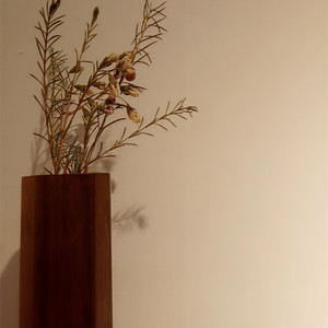 远方不及你身旁