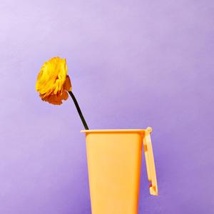 Idlewild (M. Sage Remix)