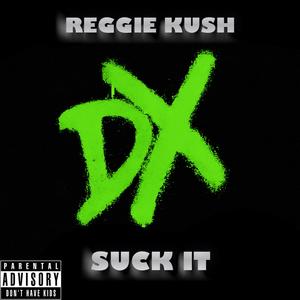 SUCK IT (Attitude Era 2) (Explicit)