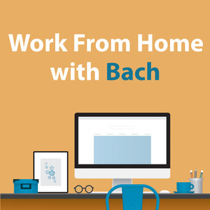 Orchestral Suite No. 3 in D, BWV 1068 - J.S. Bach: J.S. Bach: Orchestral Suite No.3 in D, BWV 1068: 2. Air