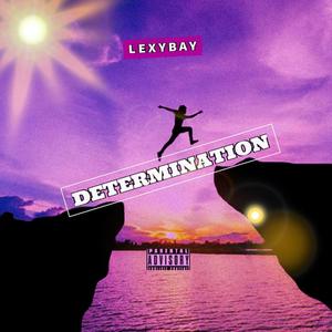 DETERMINATION (Explicit)