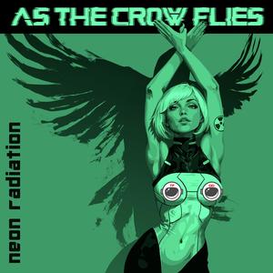 As The Crow Flies (Non Stop Erotic Cabaret Remix)