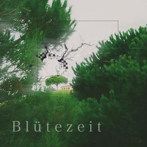 Blütezeit (Explicit)