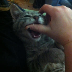 To the stars that shine in your vacant mind