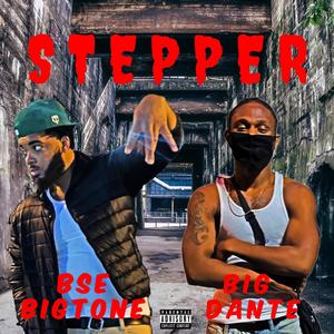 Stepper(feat. BSE BIGTONE) (Explicit)