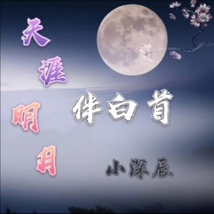 天涯明月伴白首