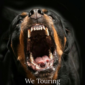 We Touring (Explicit)