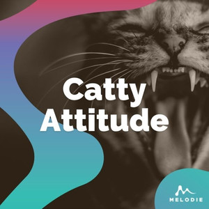 Catty Attitude