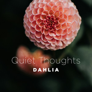 Dahlia
