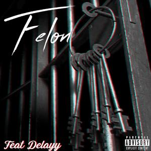 Felon (feat. Delayy) [Explicit]