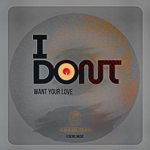 I Dont Want Your Love (feat. 4slow)