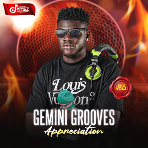 GEMINI GROOVES APPRECIATION MIX, VOL. 1 PART 5 (Explicit)