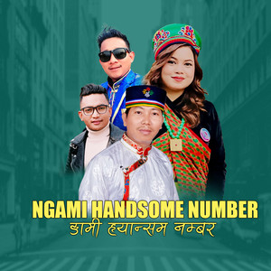 Ngami Handsome Number