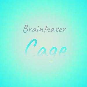 Brainteaser Cage