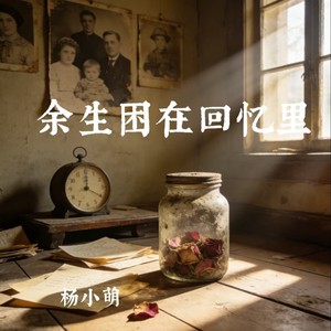 余生困在回忆里