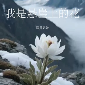 我是悬崖上的花-深井姑娘