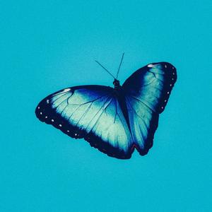 SUNNY DAZE (Explicit)