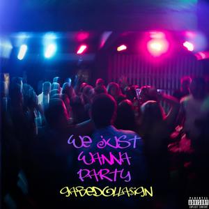 We Just Wanna Party (Explicit)
