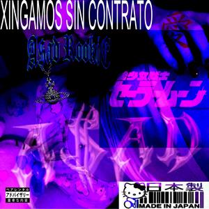 Xingamos sin Contrato