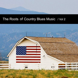 The Roots of Country Blues Music, Vol. 2