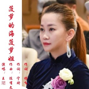 菠萝的海菠萝姐 (伴奏)