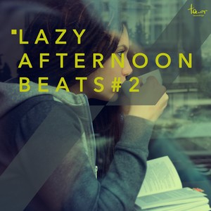 Lazy Afternoon Beats, Vol. 2