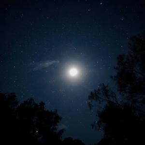 Peaceful piano for sleep