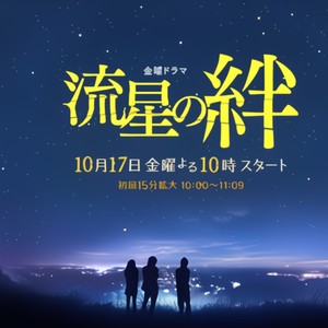 TBS系金曜ドラマ「流星の絆」オリジナル・サウンドトラック (流星之绊)