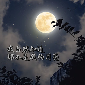 我当然知道那不是我的月亮 (说唱版)