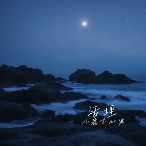 活埋 (你曾说过会给我永远的爱)-小鹿不心寒