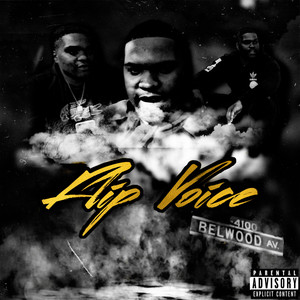 Flip Voice (Explicit)